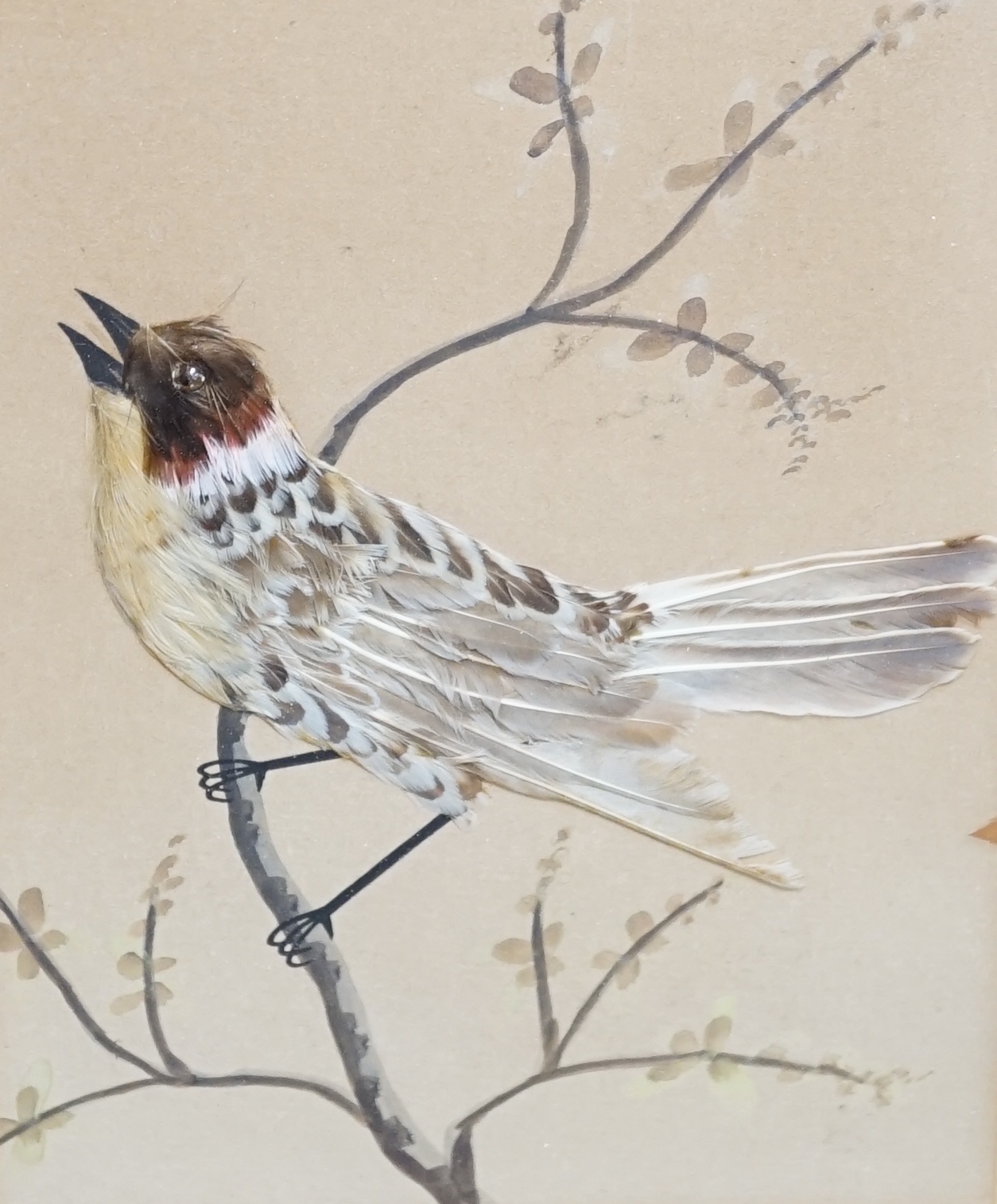 Late 19th / early 20th century, watercolour and feather picture, Bird on a branch, 19.5 x 14cm. Condition - poor to fair discolouration and tears to the paper